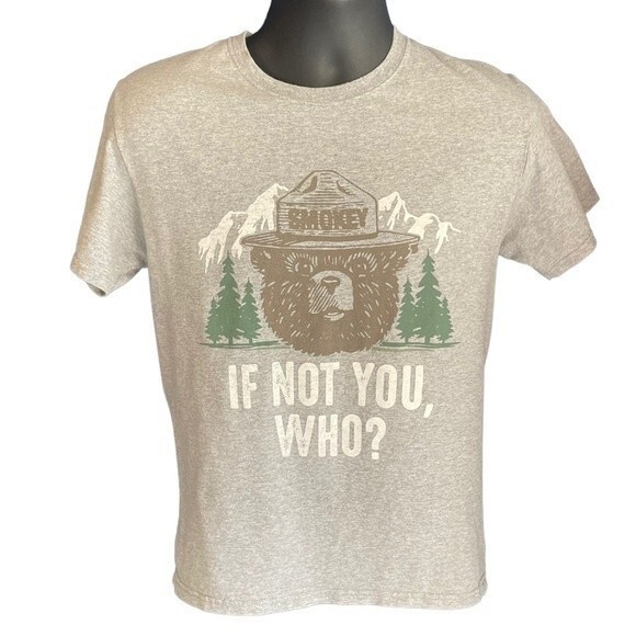 Smokey the Bear Retro Heather Gray Short Sleeve T-shirt, size Small - Picture 1 of 6